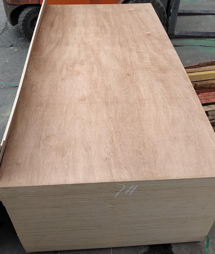 桉木胶合板